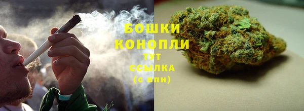 гидра Горняк