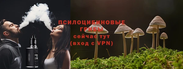 2c-b Горнозаводск