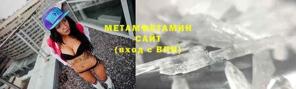 гидра Горняк