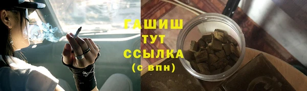 гидра Горняк