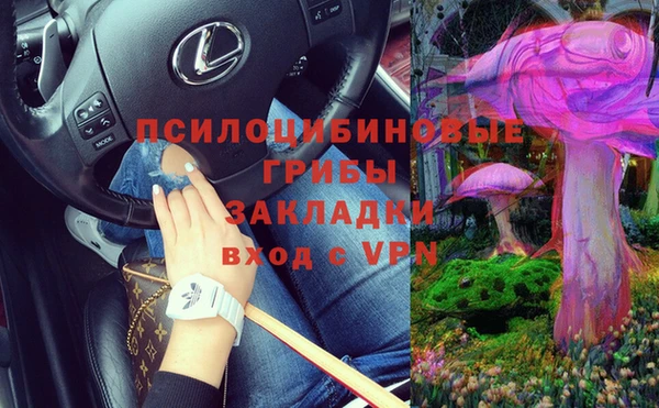 гидра Горняк
