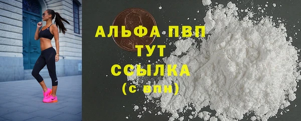 гидра Горняк