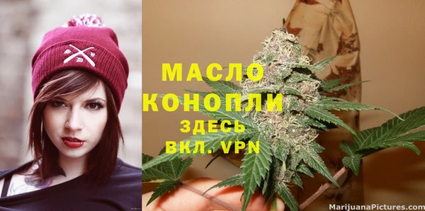 2c-b Горнозаводск