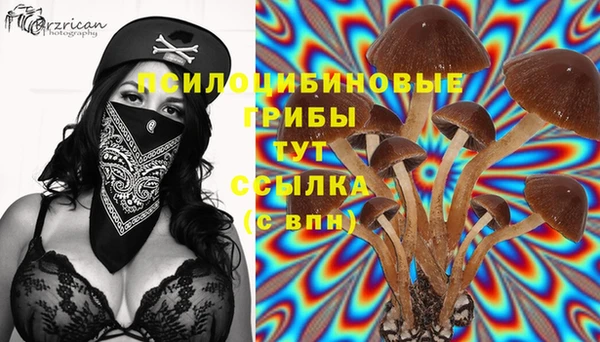 гидра Горняк
